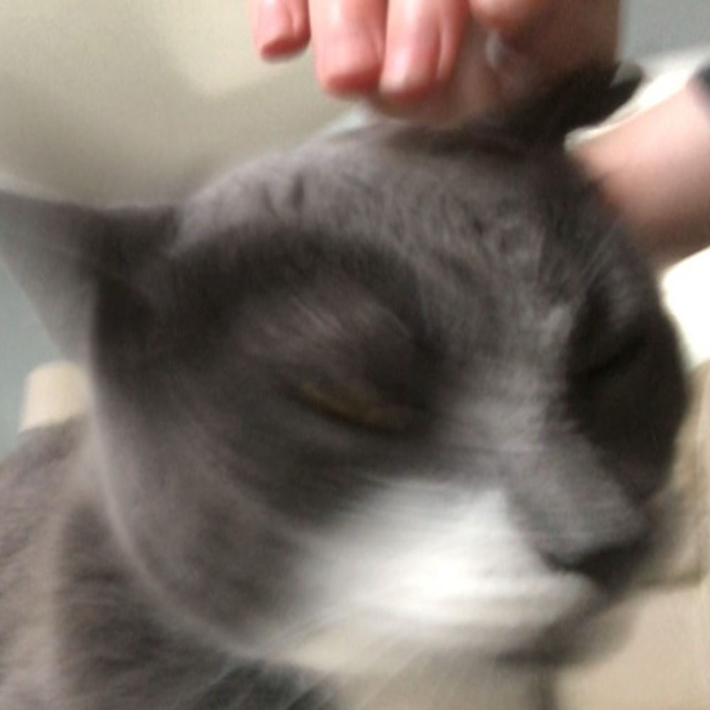 Meet your Posher, Maddy